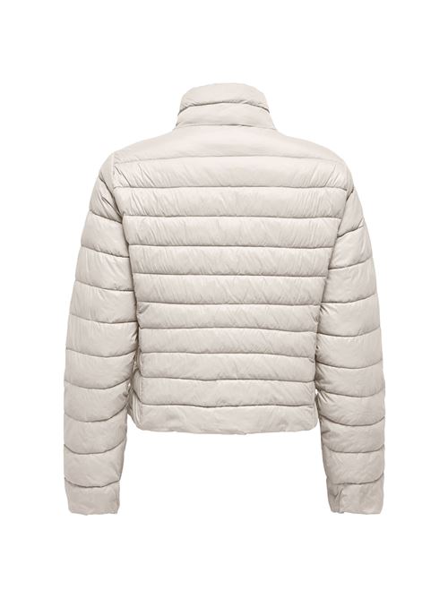  ONLY | 15351967/Pumice Stone